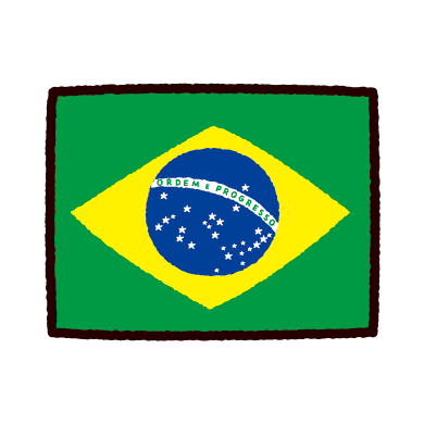 ブラジルの豆の特徴